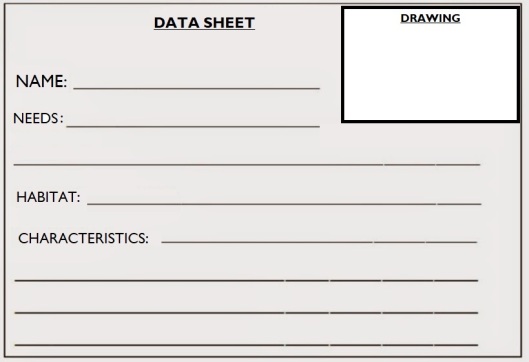 data sheet plants